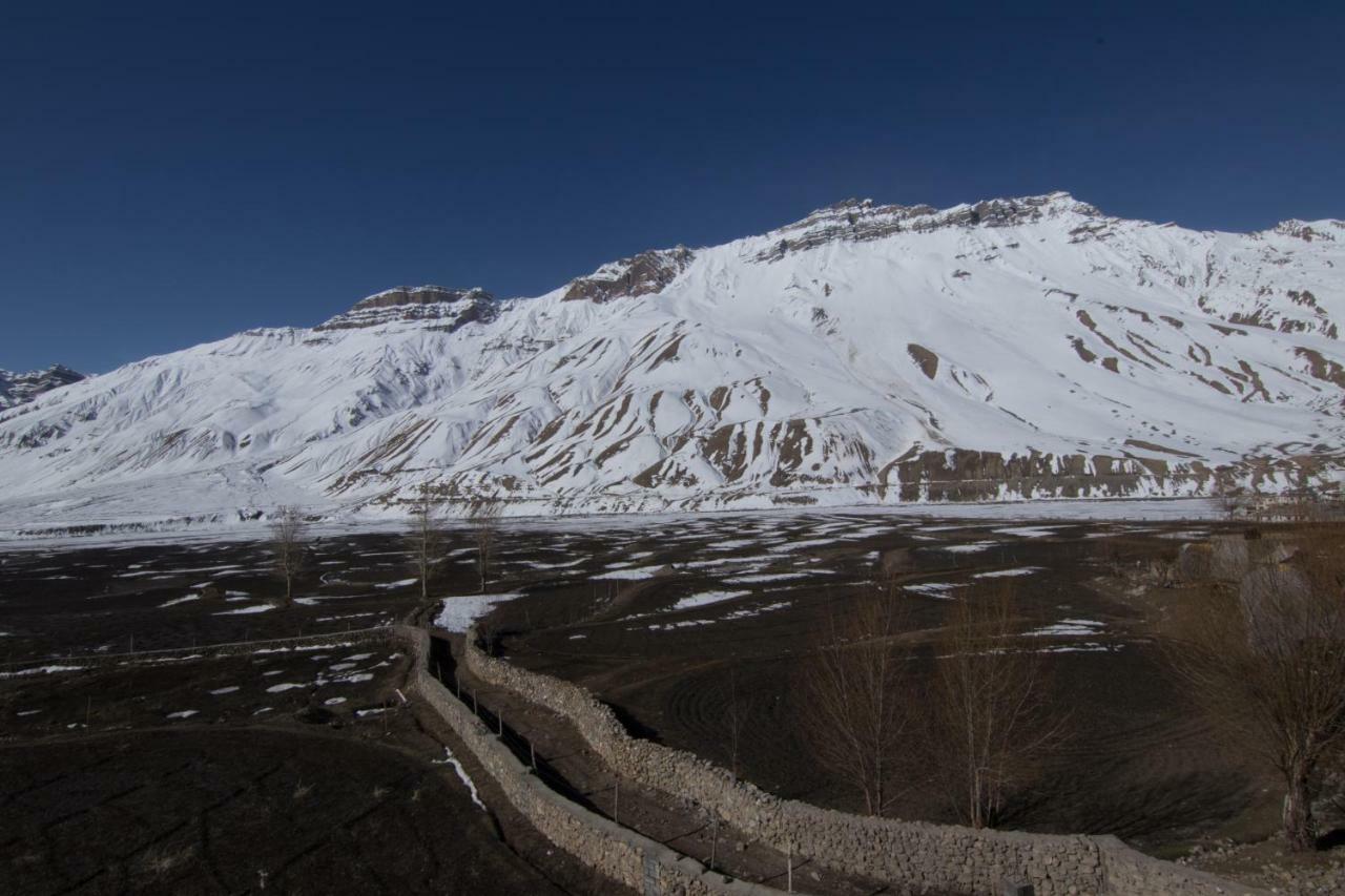 The Alpinist Cafe And Retreat Hotel Kaza Exterior photo